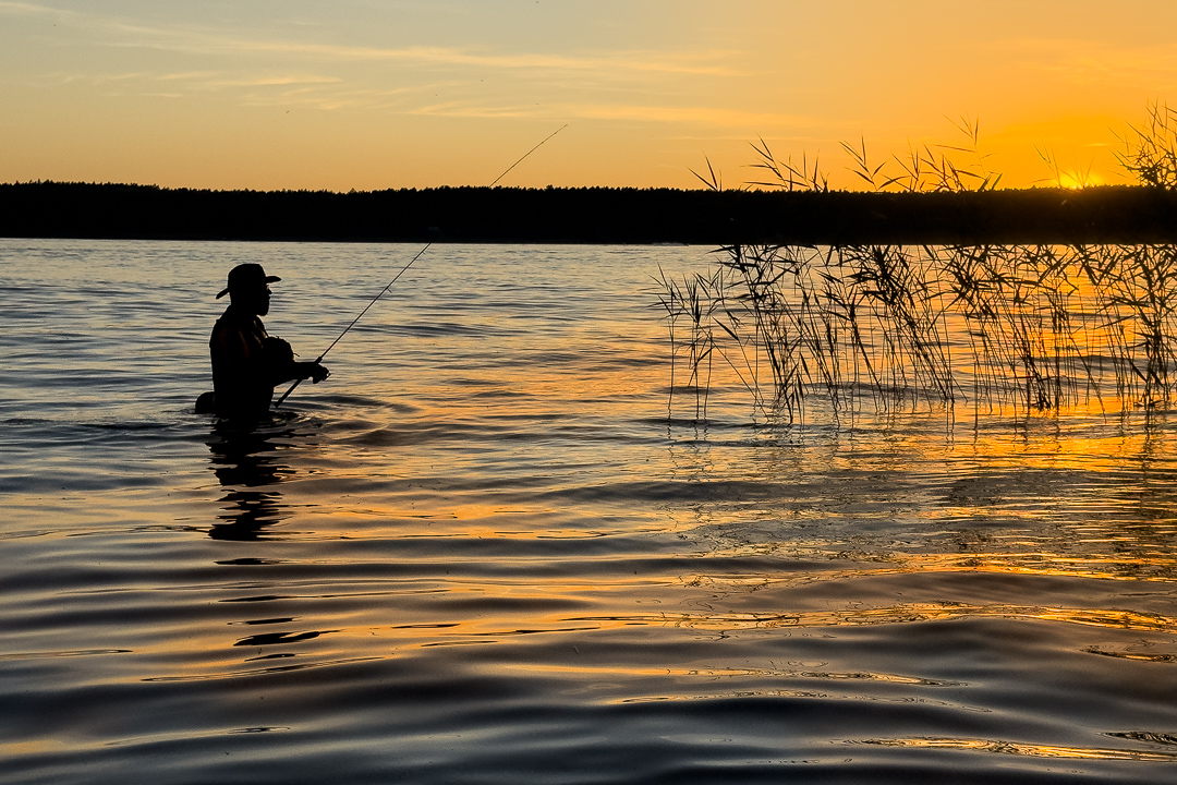 saltcatch03.jpg
